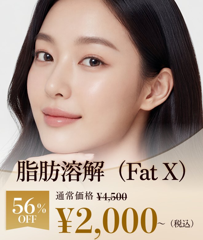 脂肪溶解（Fat X）